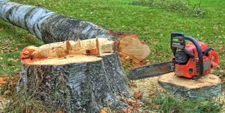 Reliable Groveton, VA Tree Services Solutions