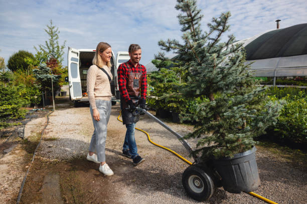 Best Grass Overseeding  in Groveton, VA